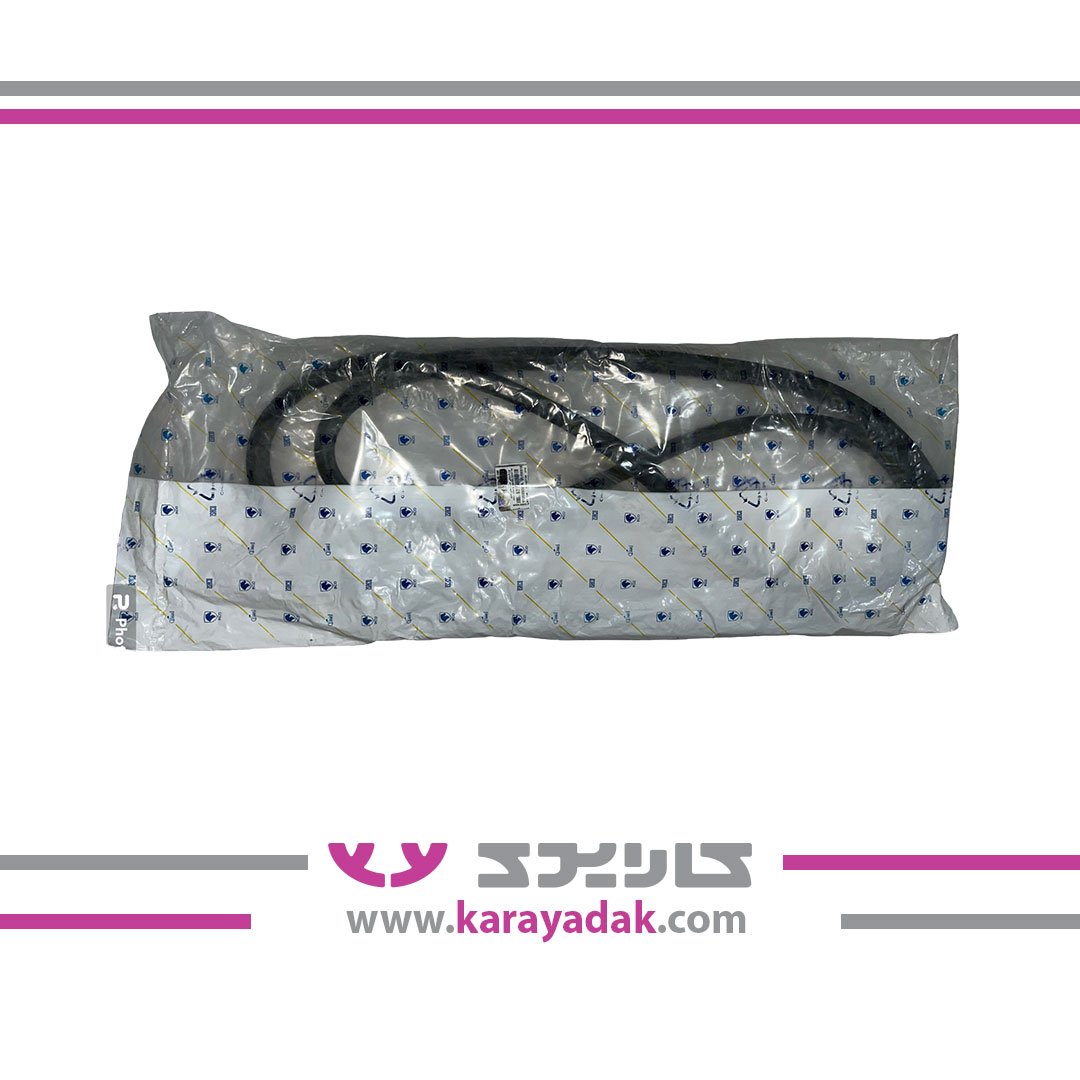 نوار لاستیکی درب جلو راست پژو 206 ایساکویی